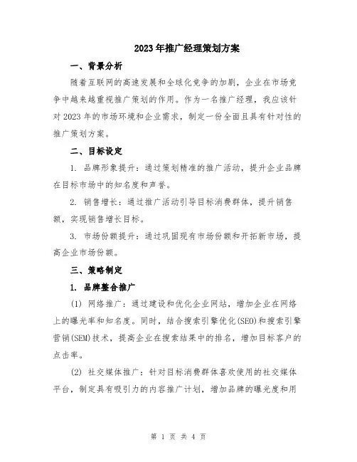 2023年推广经理策划方案