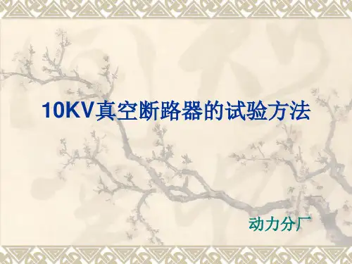 (完整ppt)10KV开关试验