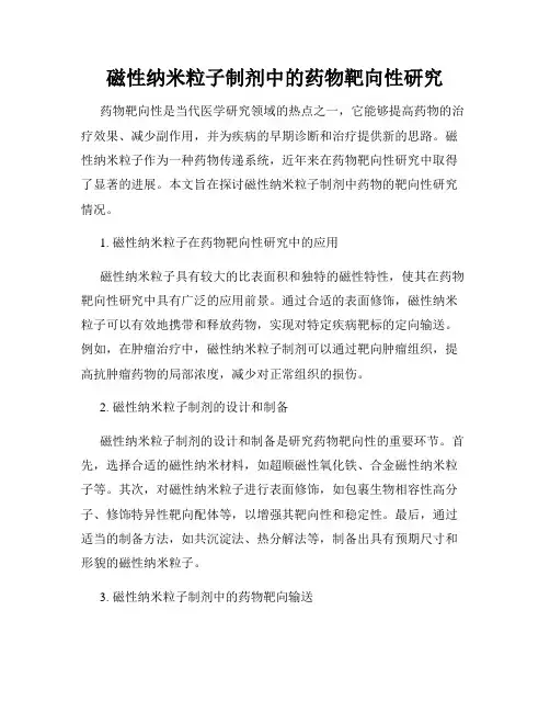 磁性纳米粒子制剂中的药物靶向性研究