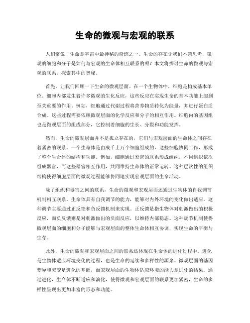 生命的微观与宏观的联系