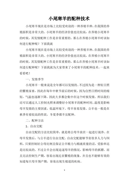 小尾寒羊的配种技术