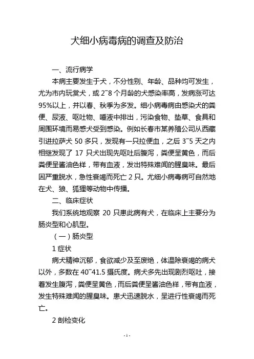 犬细小病毒病的调查及防治