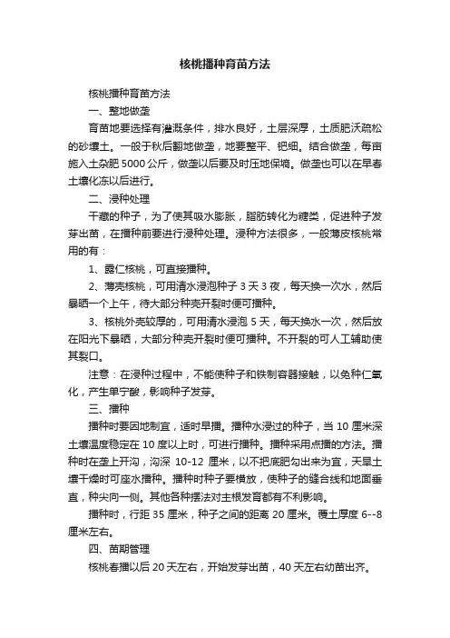 核桃播种育苗方法