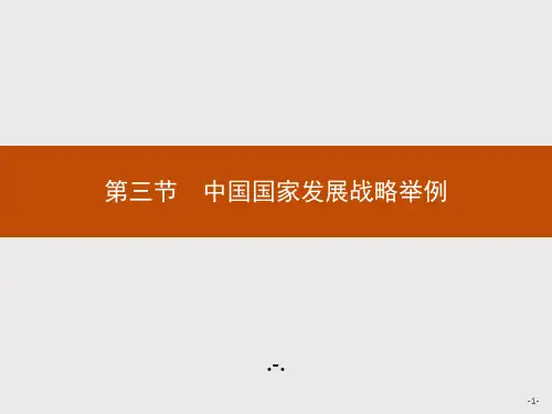 第五章 第三节 中国国家发展战略举例PPT课件