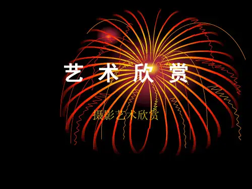 摄影艺术欣赏ppt课件