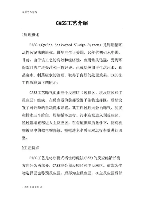 CASS工艺优缺点