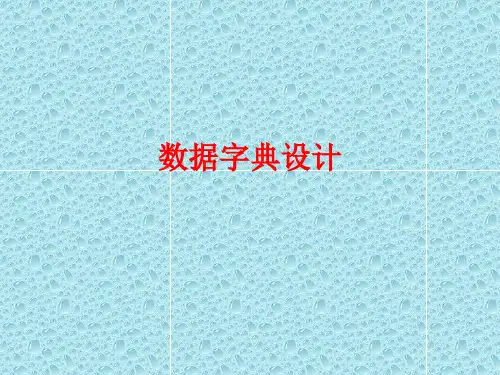 第10讲_数据字典设计