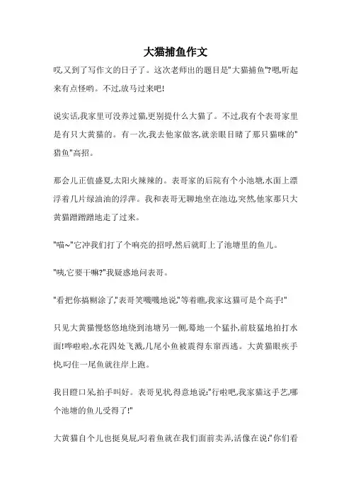 大猫捕鱼作文