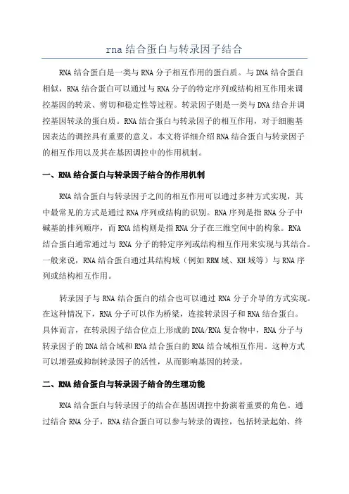 rna结合蛋白与转录因子结合