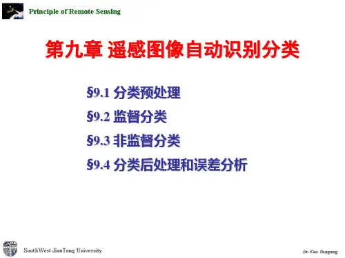 第九章遥感图像自动识别分类