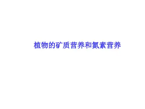 植物的矿质营养和氮素营养