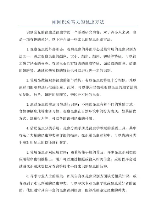 如何识别常见的昆虫方法