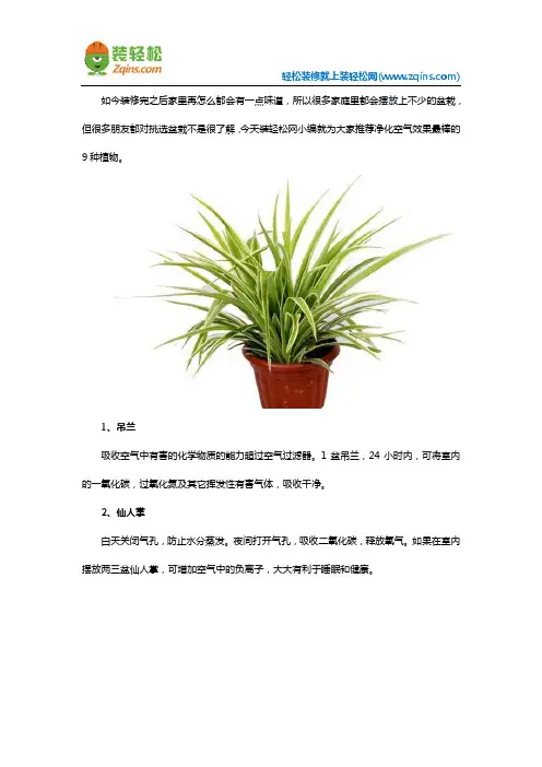 家里放哪些植物更健康？就这9种吧!
