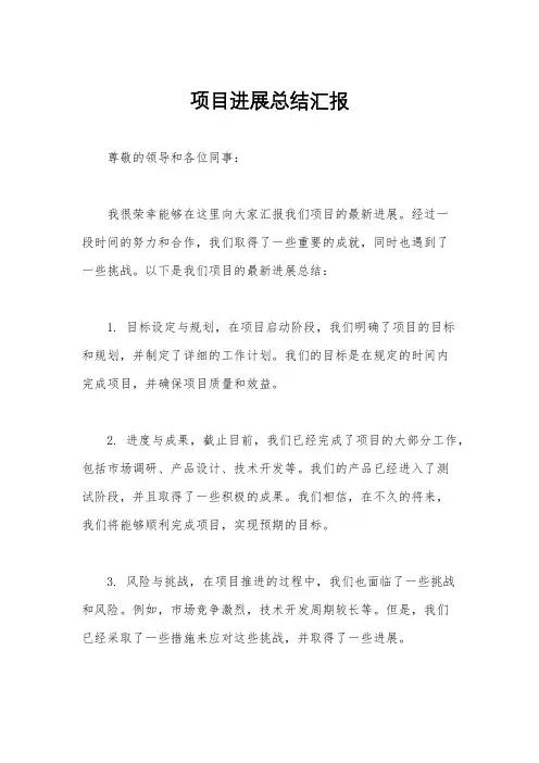 项目进展总结汇报