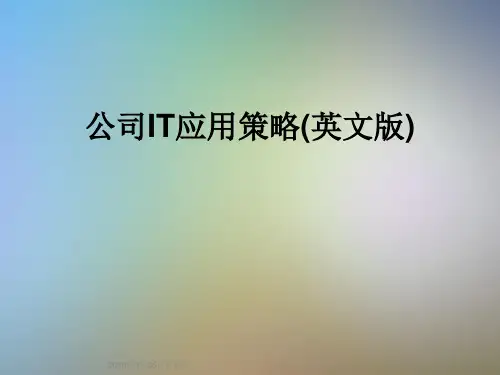 公司IT应用策略(英文版)