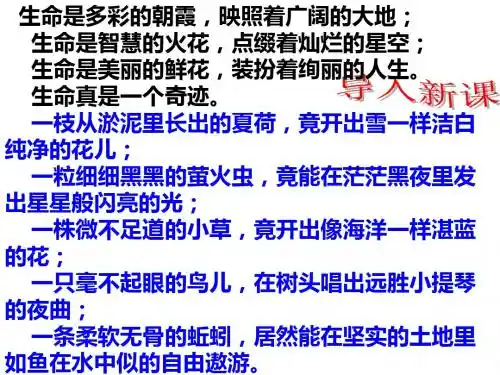 【最新审核】人教版语文七上第18课《短文两篇》ppt课件3