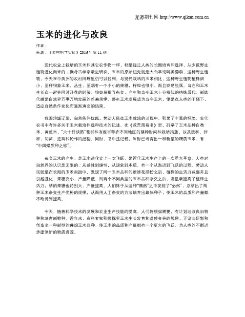 玉米的进化与改良