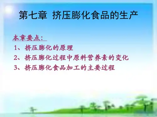 第七章 挤压膨化食品的生产
