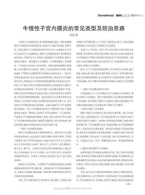 牛慢性子宫内膜炎的常见类型及防治思路