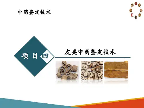 皮类中药鉴定技术—桑白皮、牡丹皮的鉴定
