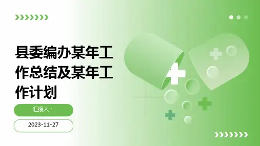 县委编办某年工作总结及某年工作计划