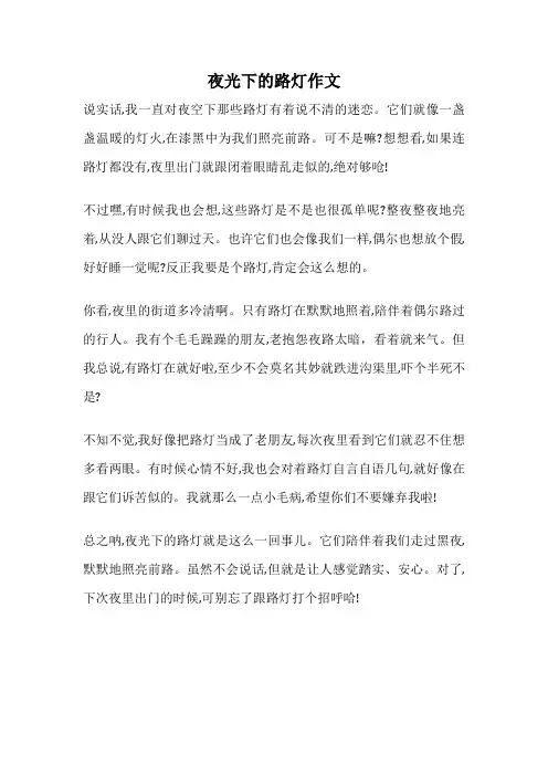 夜光下的路灯作文