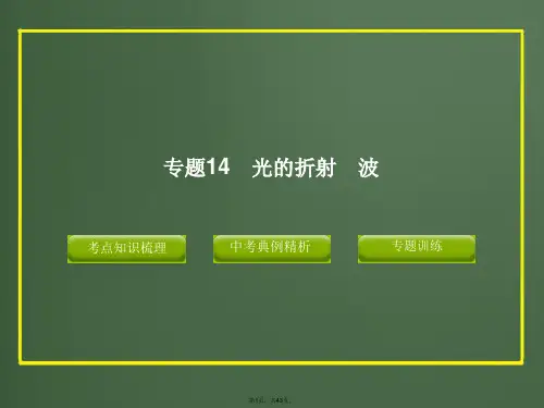 2012版中考科学精品课件专题14-光的折射-波