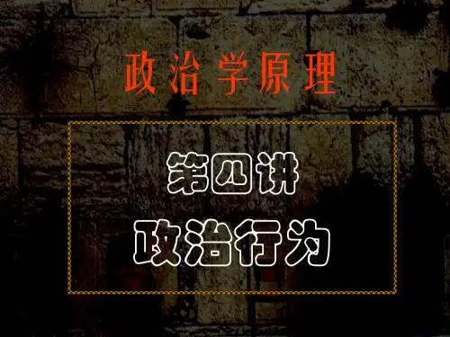 第四讲政治行为
