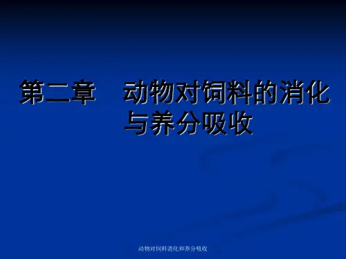 动物对饲料消化和养分吸收