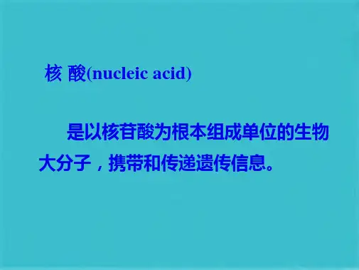 核酸的结构和功能与核苷酸代谢 (共113张PPT)