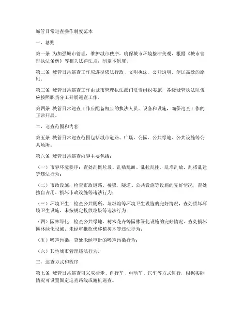城管日常巡查操作制度范本