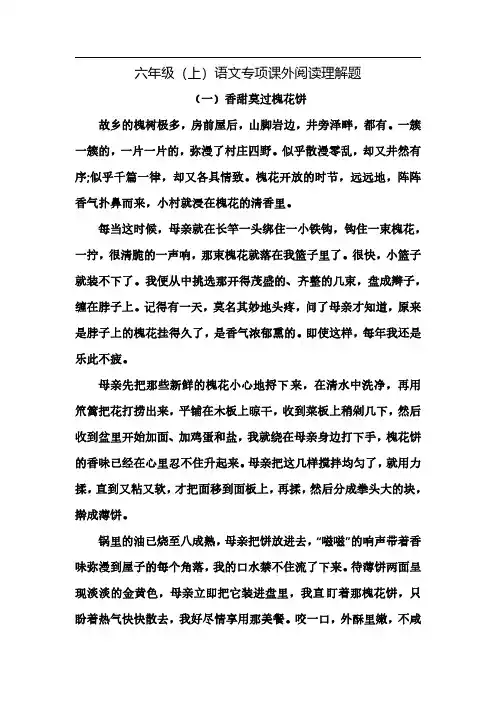 六(上)语文专项课外阅读理解题(含答案)
