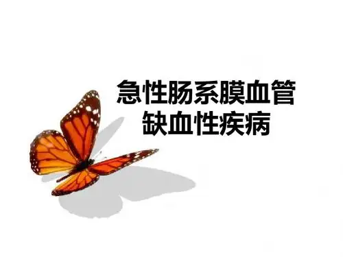 急性肠系膜血管缺血性疾病