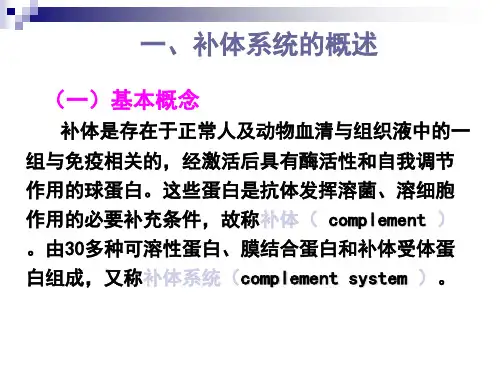 补体