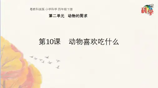粤教版教材《动物喜欢吃什么》PPT1