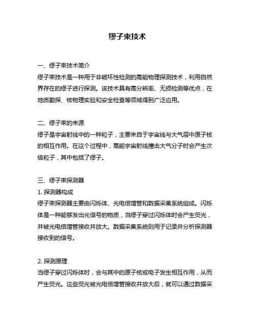 缪子束技术问题回答