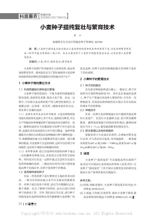 小麦种子提纯复壮与繁育技术
