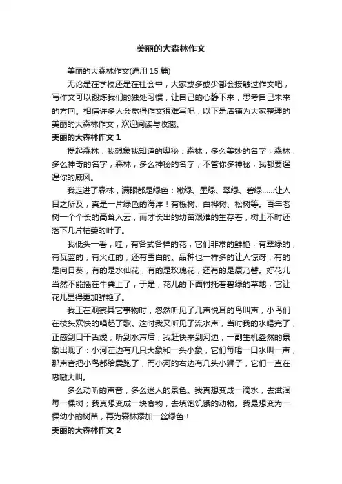美丽的大森林作文
