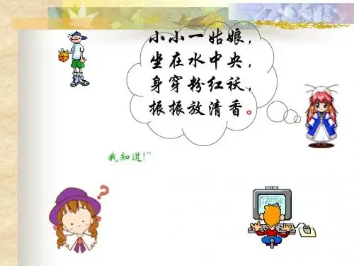 莲文化的魅力(启用)