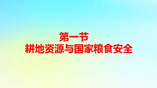 新教材高中地理第二章第一节耕地资源与国家粮食安全pptx课件湘教版选择性必修3