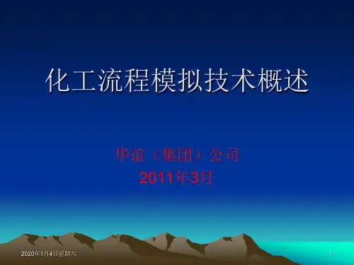 流程模拟技术概述 PPT课件