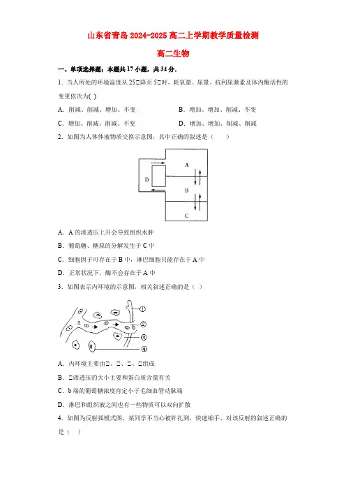 山东省青岛2024_2025高二生物上学期12月月考试题