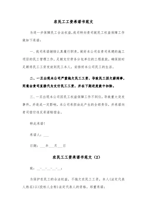农民工工资承诺书范文(7篇)
