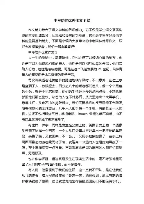 中考陪伴优秀作文5篇