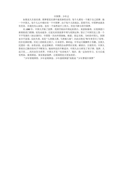 中国梦.少年志    王仲鑫