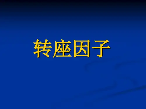 转座因子