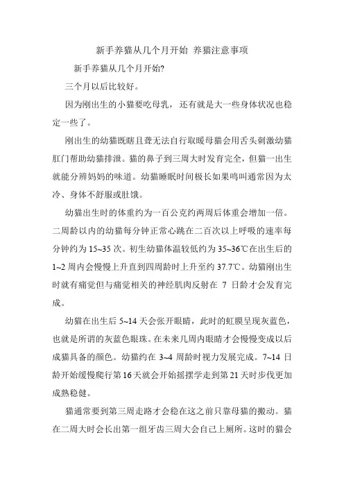 新手养猫从几个月开始 养猫注意事项