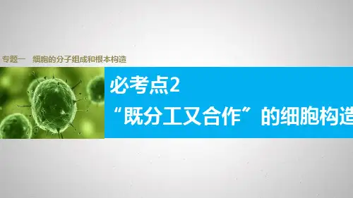 【步步高】版高考生物(全国专用)大二轮总复习与增分策略专题一必考点2
