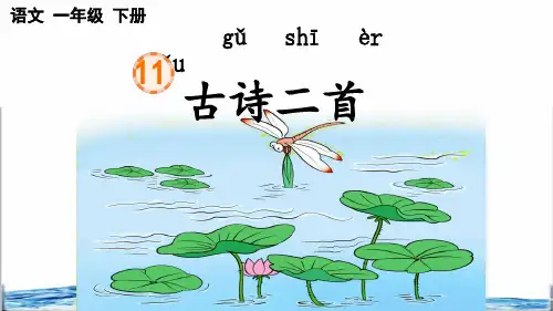部编版一年级语文下册第六单元第11课《古诗二首》教学课件