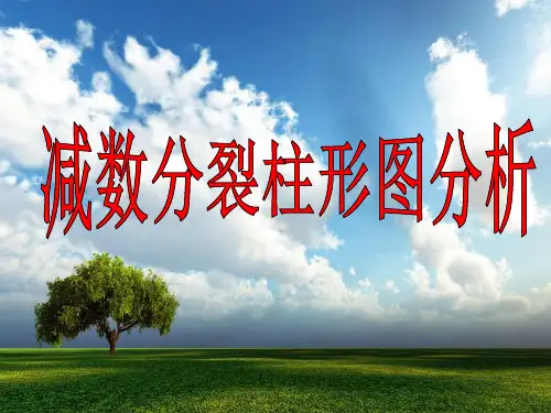 12.减数分裂柱形图分析